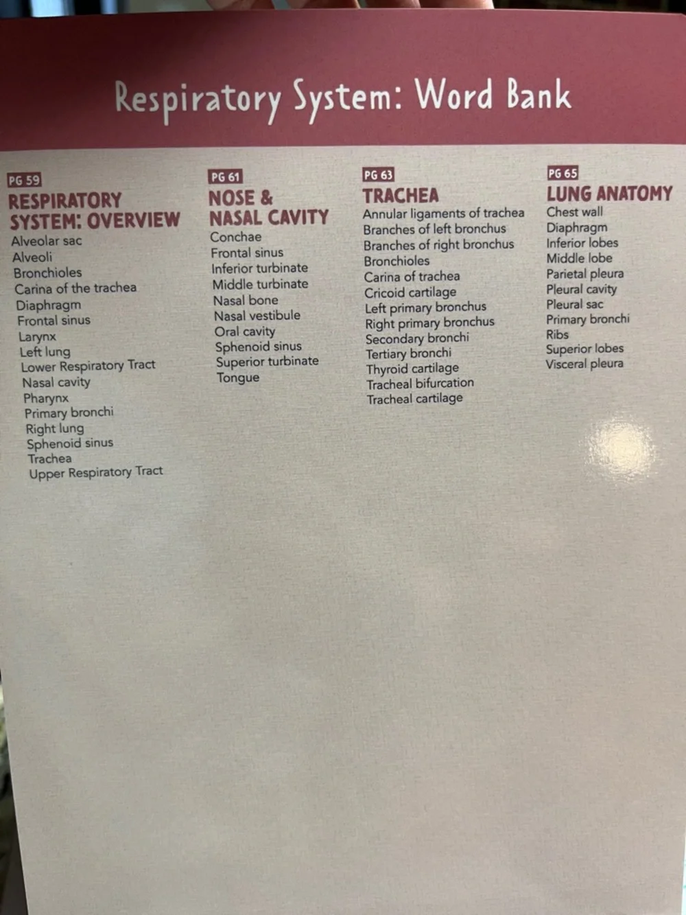 Nurse In The Making‎ Anatomy Label Lab Workbook Spiral Bound Laminated NEW
